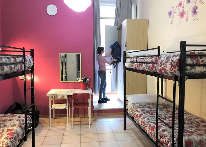 Freedom Traveller 호스텔