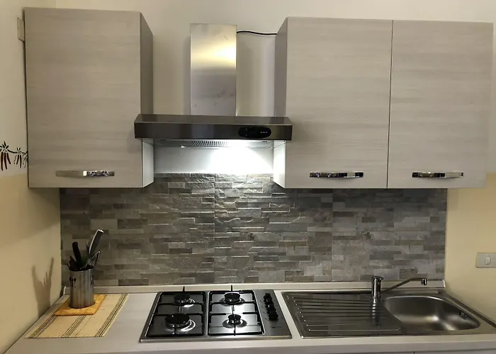 Freedom Traveller 로마